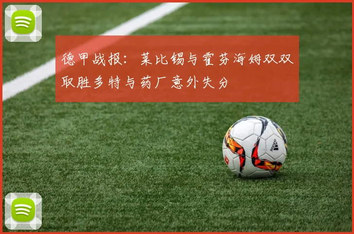 德甲战报：莱比锡与霍芬海姆双双取胜多特与药厂意外失分